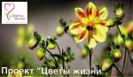 b_150_100_16777215_00_images_zagruzki_kartinki-dlya-novostej_chveti_zizni.jpg